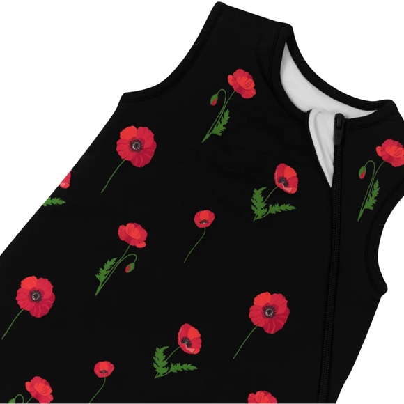 Kyte Baby Sleep Bag - Picture 1 of 3